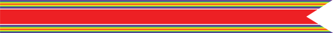 United States Coast Guard World War II Victory Campaign Streamer 